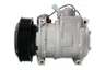 10B17-ACE99510 Compresor, climatizare SANDEN