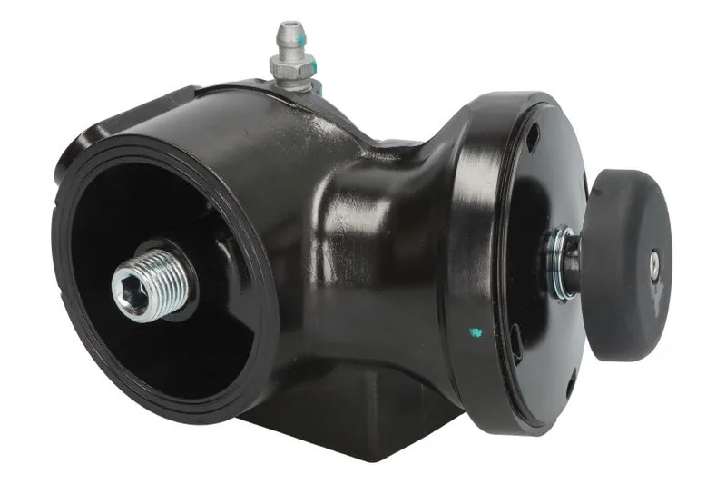 Cap filtru, filtru combustibil