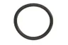 2941712-FP Garnitura bloc motor FP DIESEL