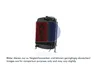 440497N Radiator, racire motor AKS DASIS