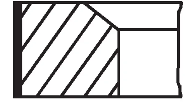 Set segmenti piston