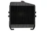 D7AG012TT Radiator, racire motor THERMOTEC