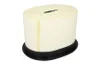 2525001 CVA Filtru aer