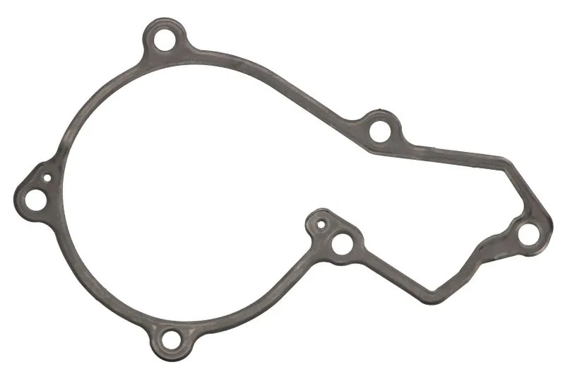 R504885 Garnitura, pompa de apa FP DIESEL