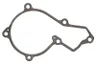 R504885 Garnitura, pompa de apa FP DIESEL