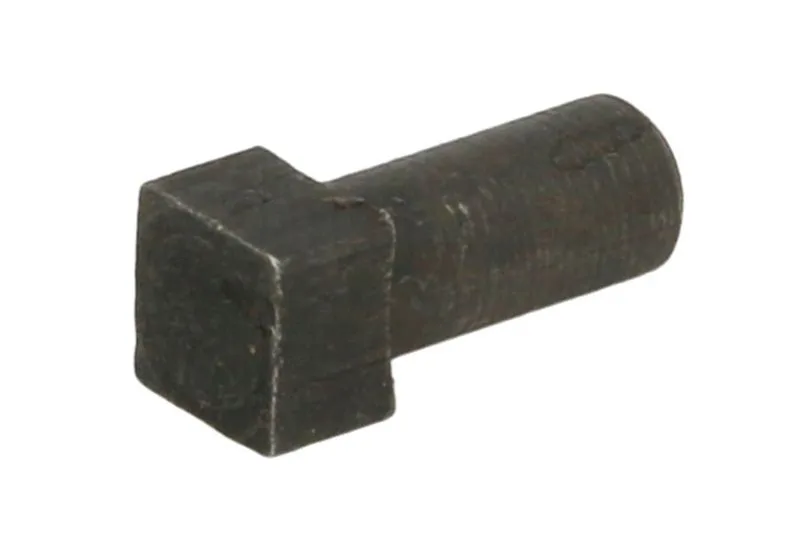 Bolturi