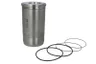 Set raparatii, piston/bucsa cursa cilindru