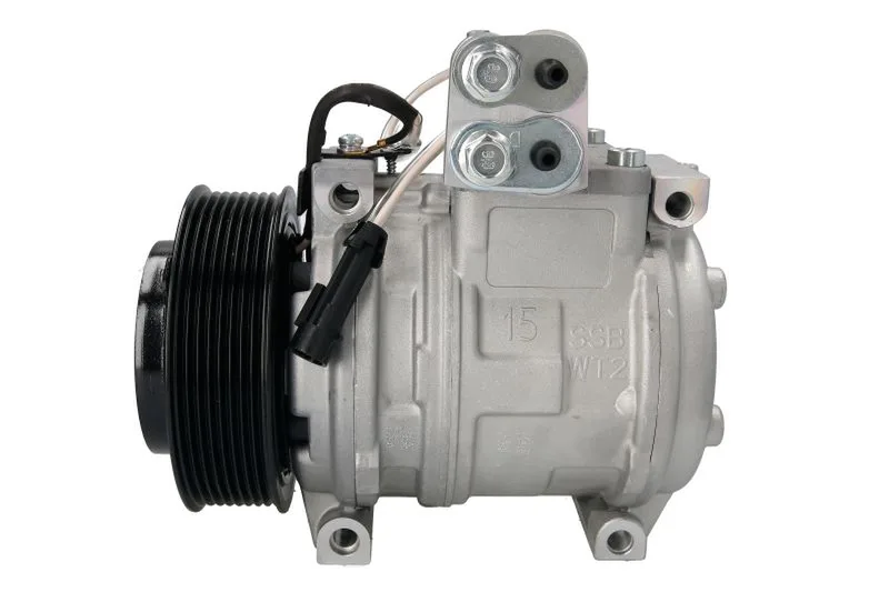 10B17-ACE99505 Compresor, climatizare SANDEN