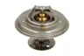 Termostat,lichid racire