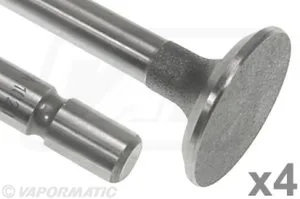 VPA1020 Supapa admisie VAPORMATIC