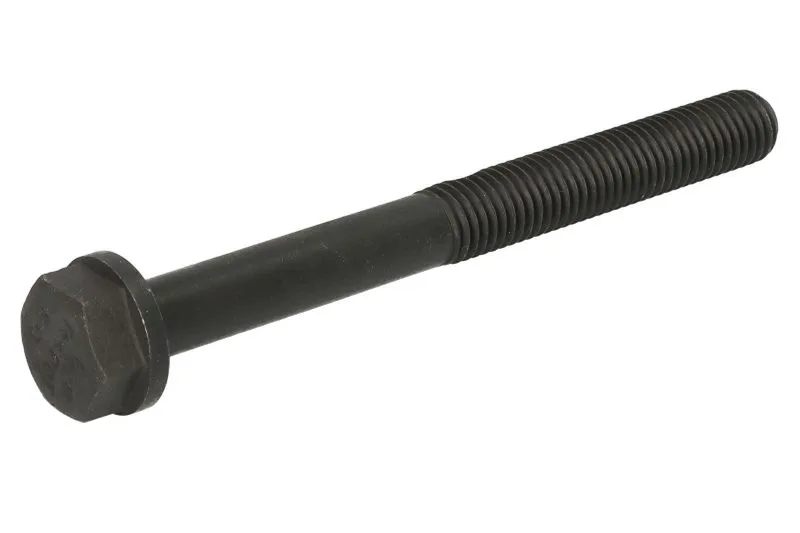 ENT005004 Surub chiulasa ENGITECH