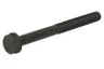 ENT005004 Surub chiulasa ENGITECH