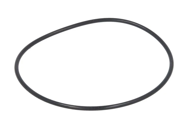 28184 Set reparatie, diferential CARRARO
