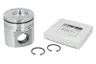 3802564 Piston FP DIESEL