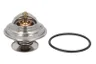 Termostat,lichid racire
