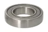 XG209NPPB Rulment SKF