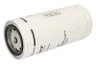 5801364481 Filtru combustibil FPT