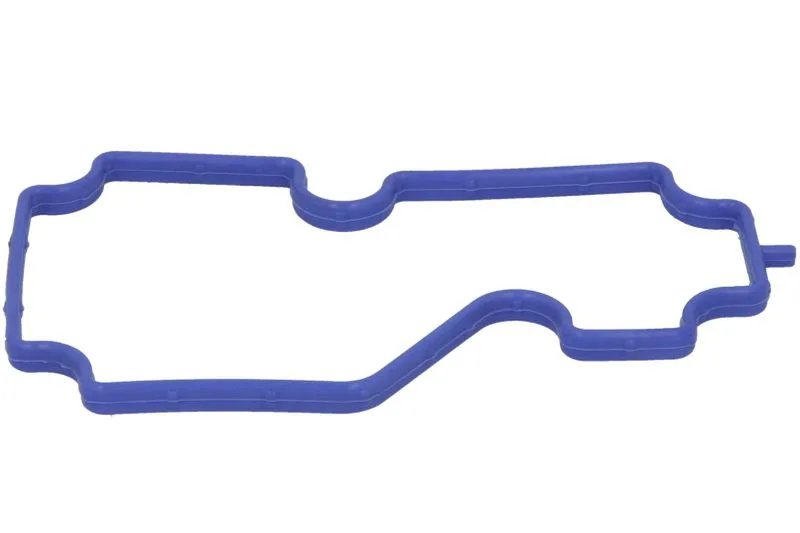 Garnitura, carcasa termostat