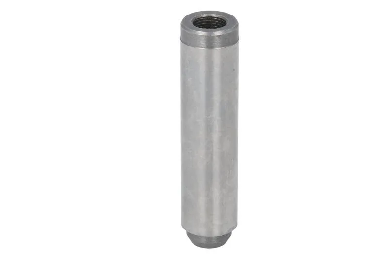 1487425 Ghid supapa FP DIESEL
