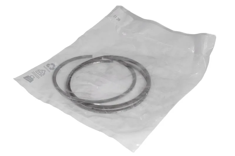 8099153 Set segmenti piston FPT