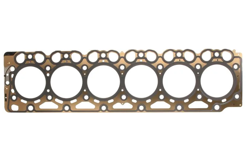 61-10703-10 Garnitura chiulasa REINZ