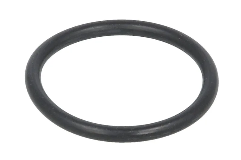 28131-CR Set reparatie, diferential CARRARO