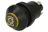 Comutator presiune, limitator incarcare ax
