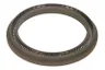 555749-CR Garnitura, diferential CARRARO