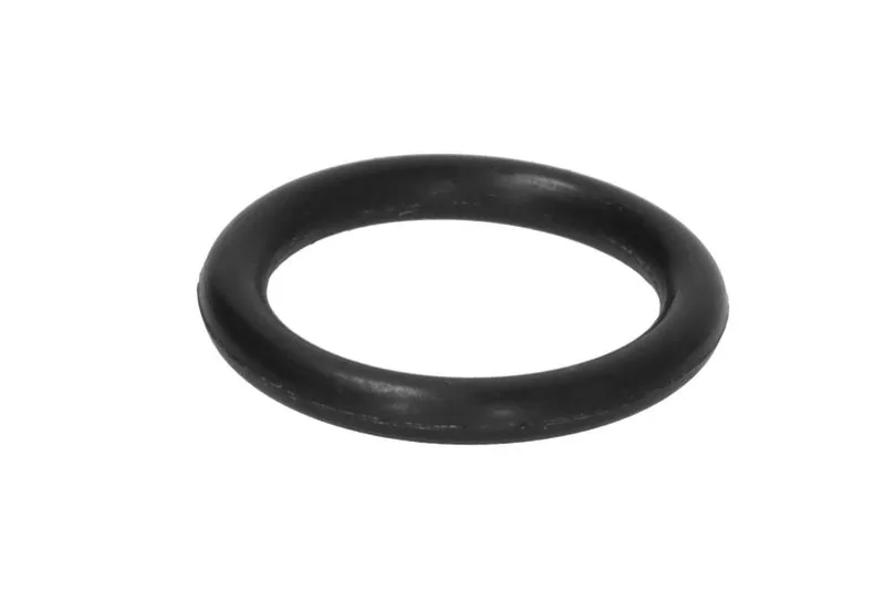 BS04-293 Garnitura / sigiliul carcasei filtrului de combustibil BOSS FILTERS
