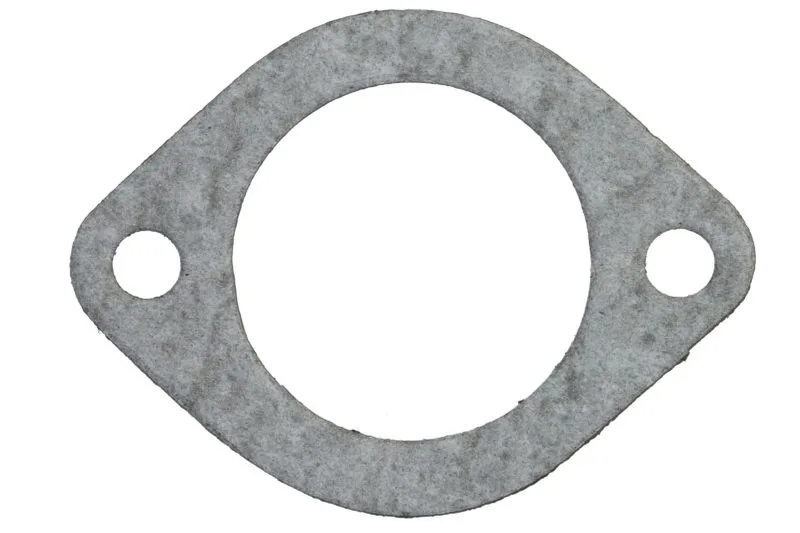 Garnitura, carcasa termostat