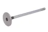 R536135 Supapa admisie FP DIESEL