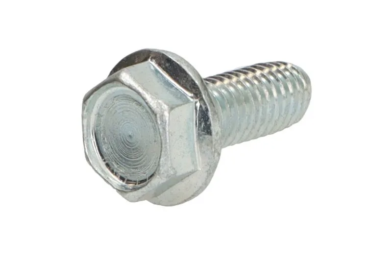 01182025 Surub chiulasa OE DEUTZ
