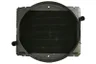 D7AG776TT Radiator, racire motor THERMOTEC