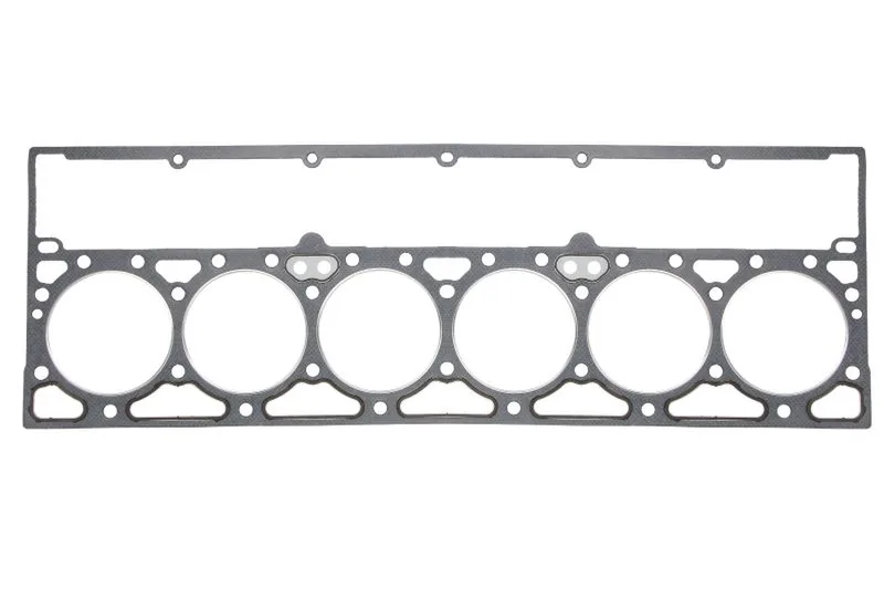 61-41460-00 Garnitura chiulasa REINZ