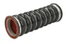 Furtun ear supraalimentare
