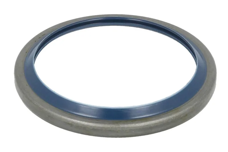 146167 Set reparatie, diferential CARRARO