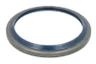 146167 Set reparatie, diferential CARRARO