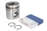 225-3012X Piston MAHLE