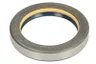 125235 Simering, ax cardanic CARRARO