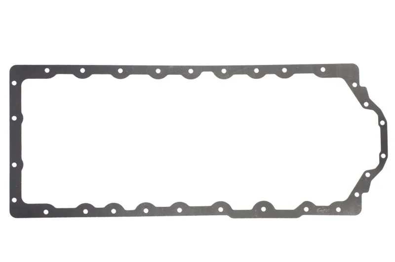 ENT020069 Garnitura pompa ulei ENGITECH