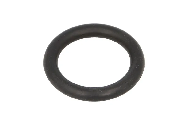 Garnitura termostat