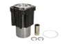 Set raparatii, piston/bucsa cursa cilindru