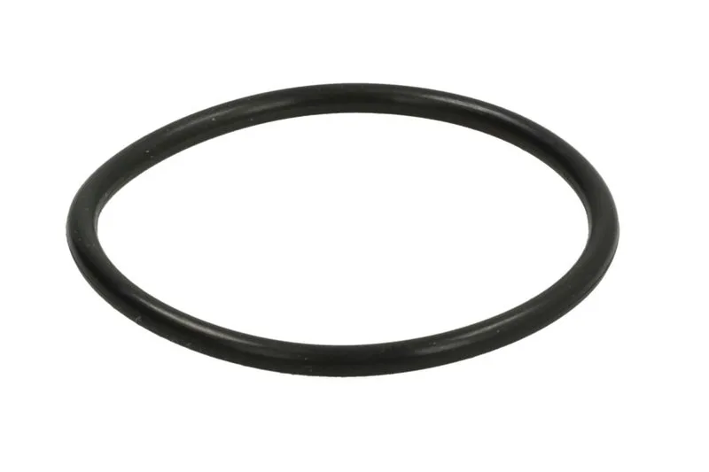 001.05.0048-DS Set reparatie, diferential DANA SPICER