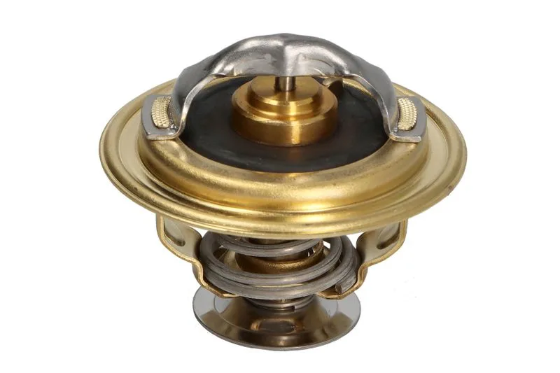 98463638 Termostat,lichid racire FPT
