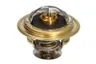 98463638 Termostat,lichid racire FPT