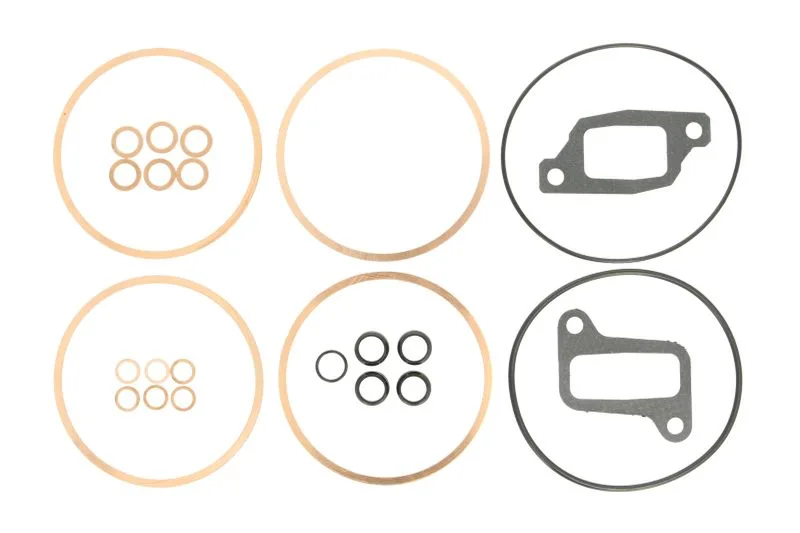 Set garnituri complet, motor