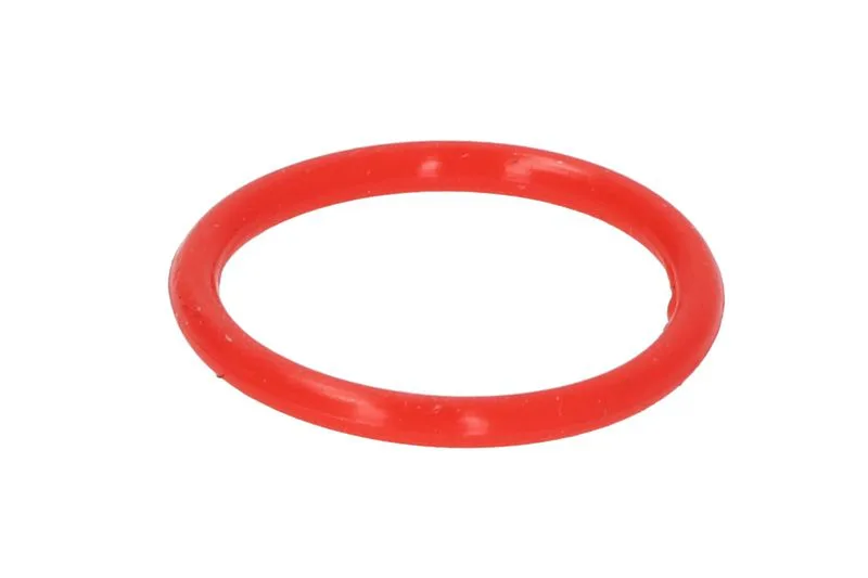 ENT251094 Inel etansare, injector ENGITECH