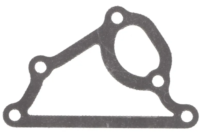Garnitura, pompa de apa