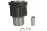 Set raparatii, piston/bucsa cursa cilindru