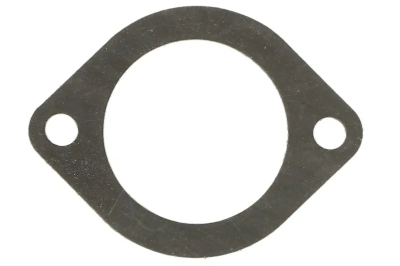 Garnitura termostat